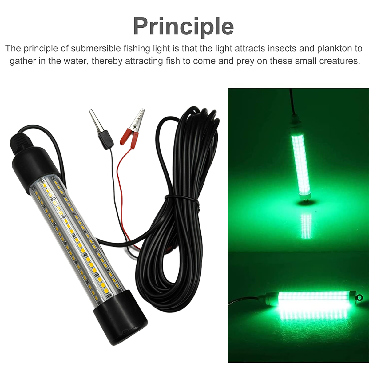 ไฟตกปลาใต้น้ำ Led Fishing Fish - Fishing Boat Depth Finder บทวิจารณ์และราคา
